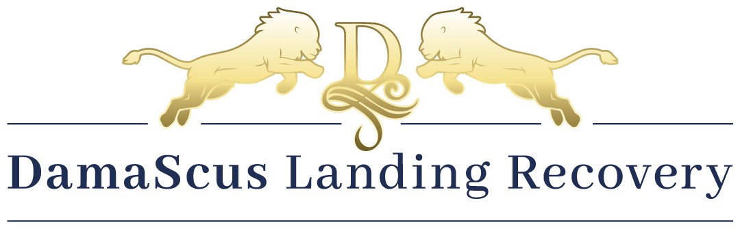 DamascusLanding_logo-1